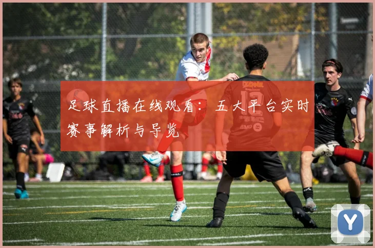 足球直播在线观看:五大平台实时赛事解析与导览