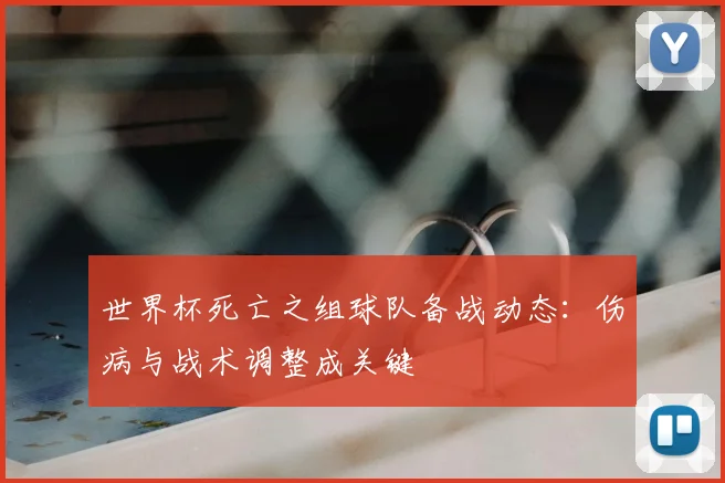 世界杯死亡之组球队备战动态：伤病与战术调整成关键