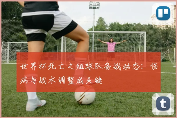 世界杯死亡之组球队备战动态：伤病与战术调整成关键