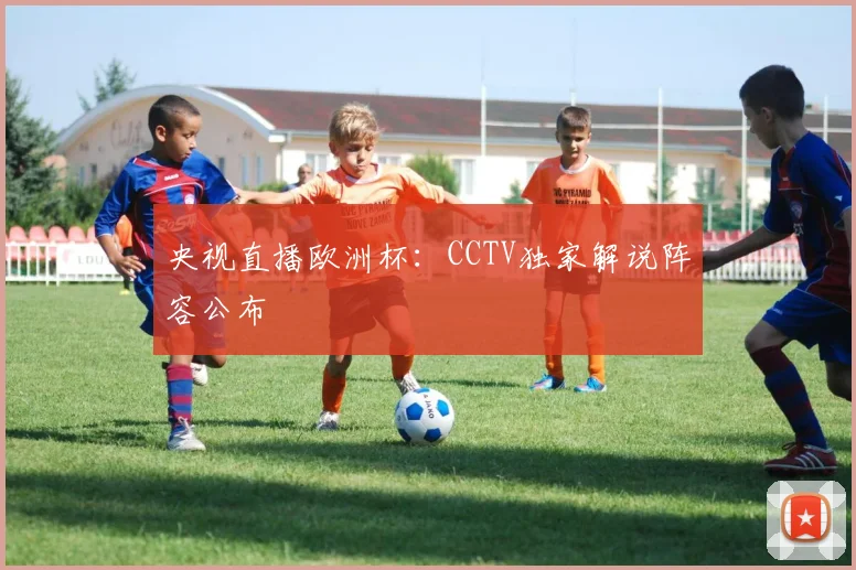 央视直播欧洲杯：CCTV独家解说阵容公布