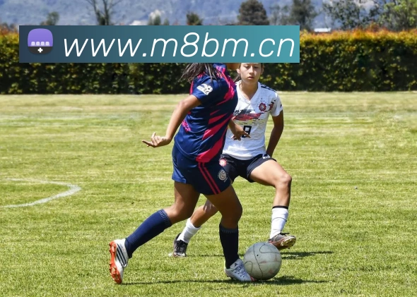 开云网页版在线登录app服务体系